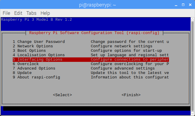 Raspi-config Interfacing Options