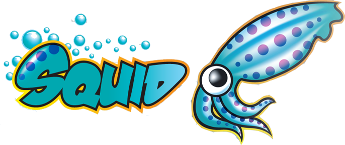 Logo Squid Proxy