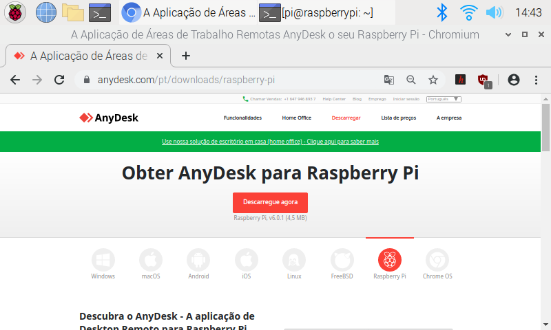 Tela principal Anydesk na Raspberry Pi
